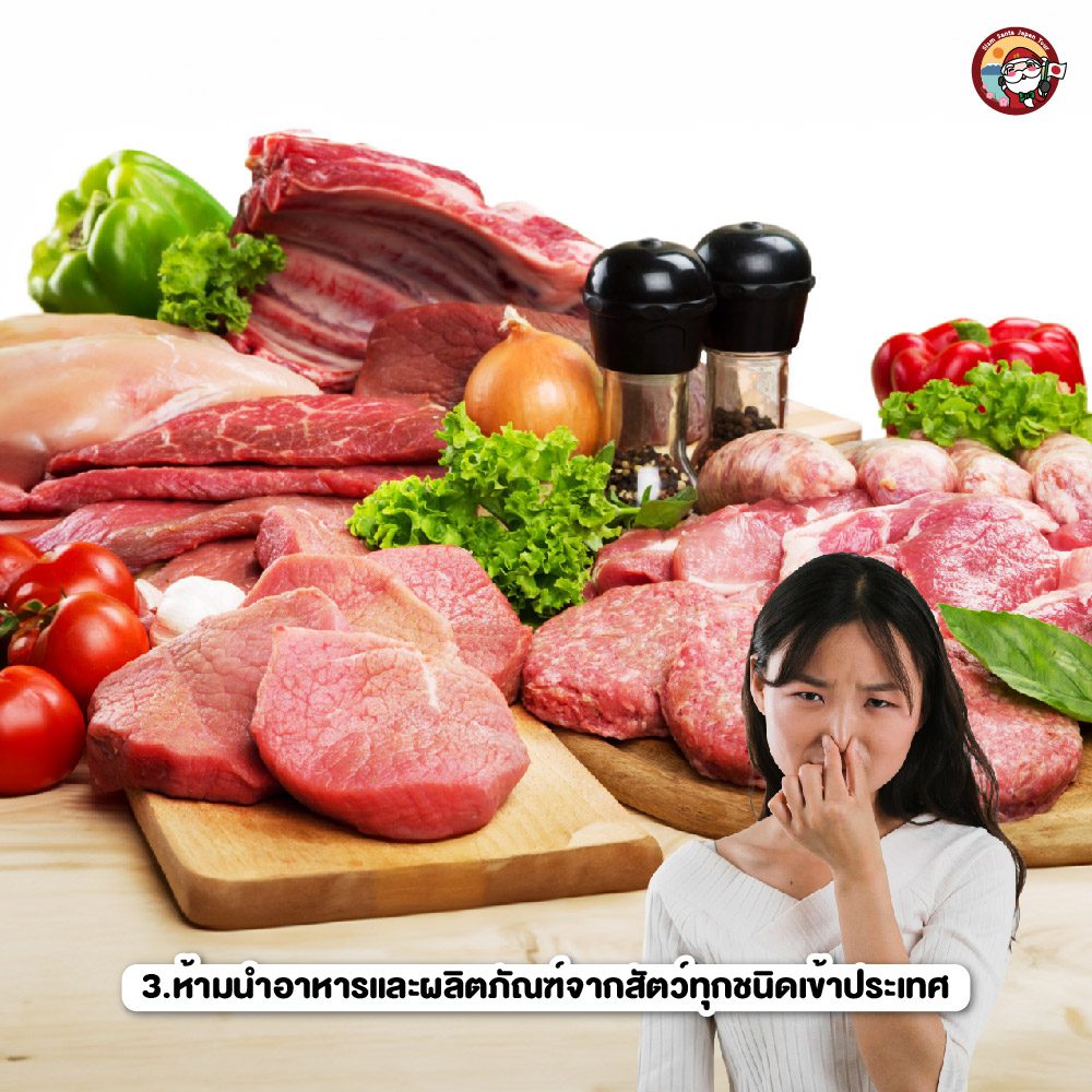Sub Image 3