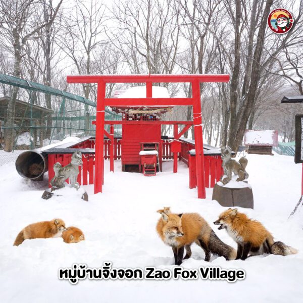 Sub Image 7