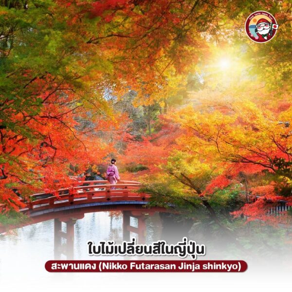 Sub Image 1