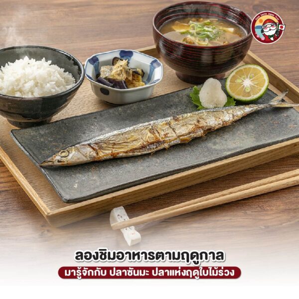 Sub Image 3