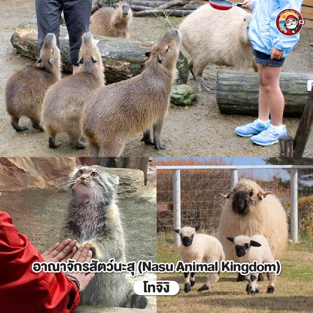 Sub Image 2