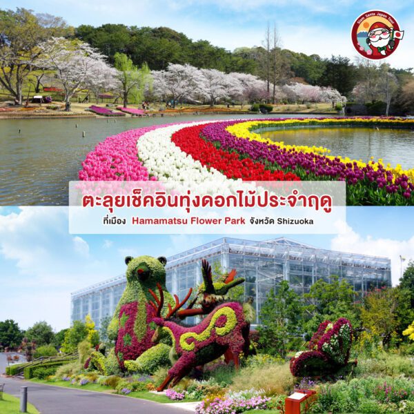 Sub Image 3