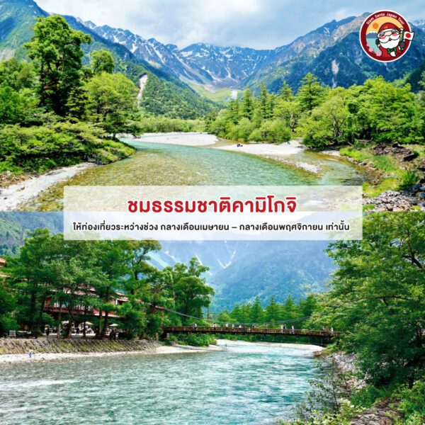 Sub Image 4