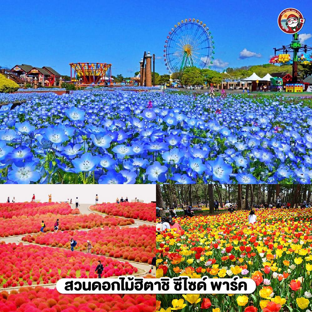 Sub Image 1