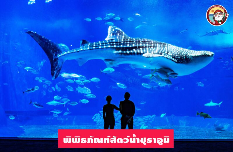 Sub Image 4