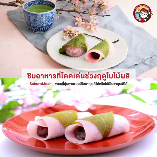 Sub Image 9
