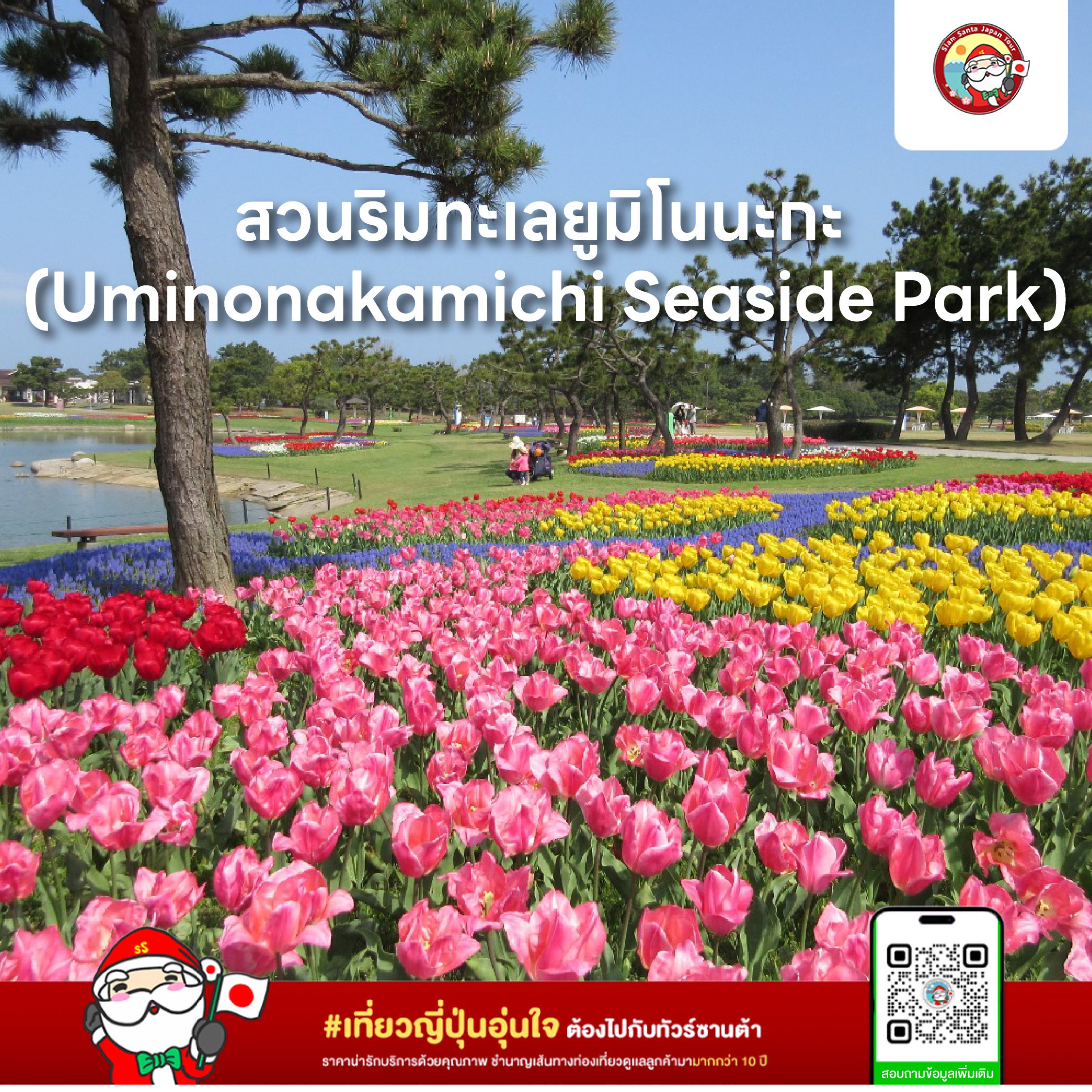 Sub Image 4