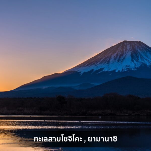 Sub Image 1
