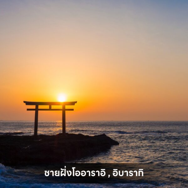 Sub Image 4