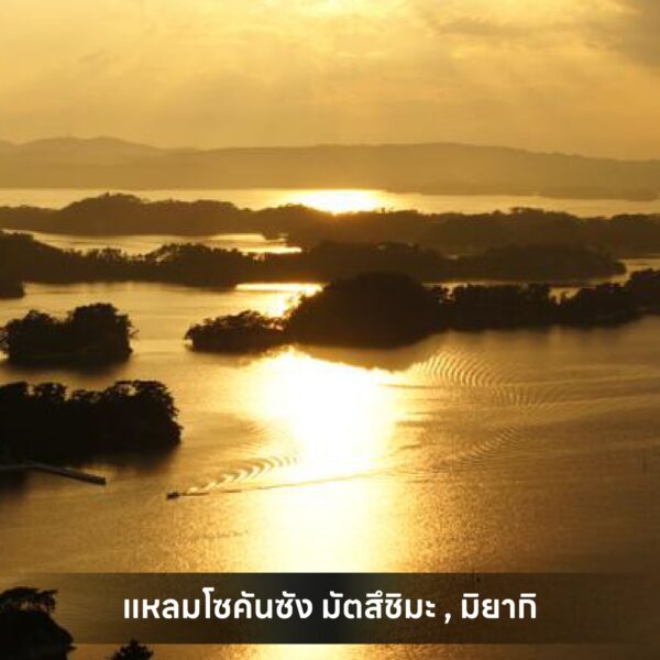 Sub Image 3