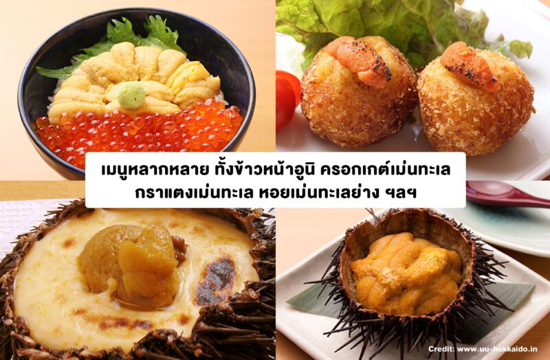 Sub Image 4