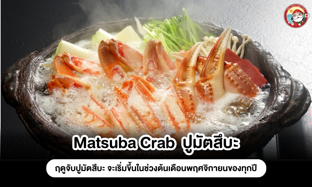 Sub Image 6