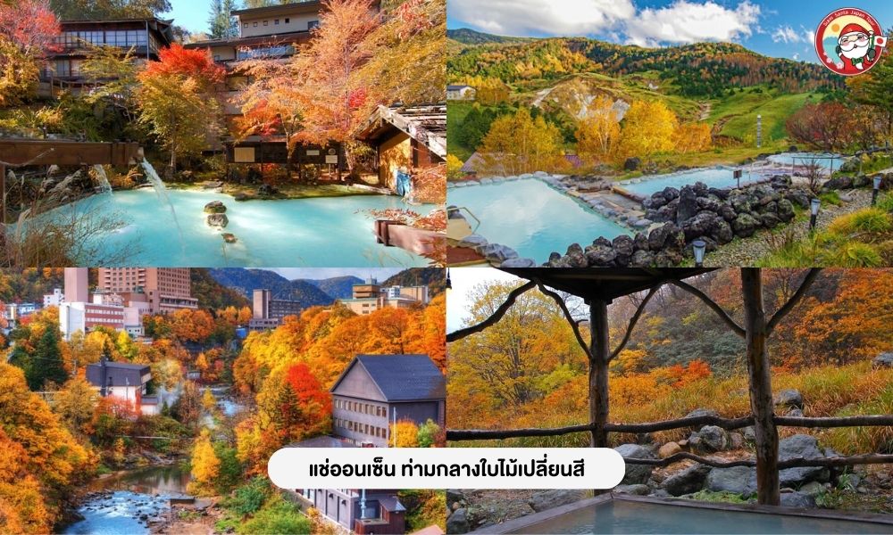 Sub Image 3