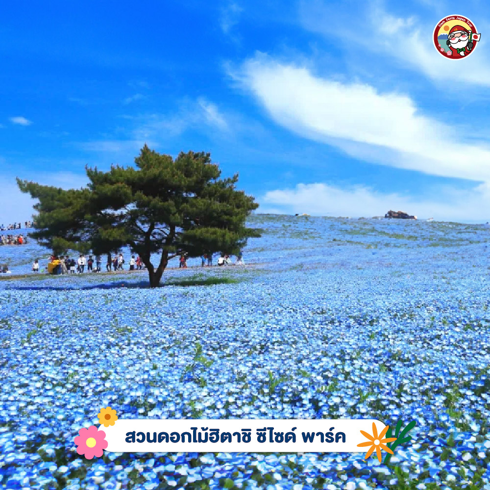 Sub Image 3