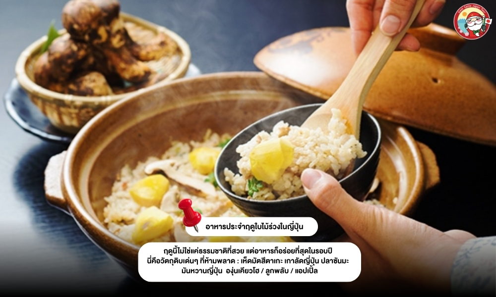 Sub Image 3
