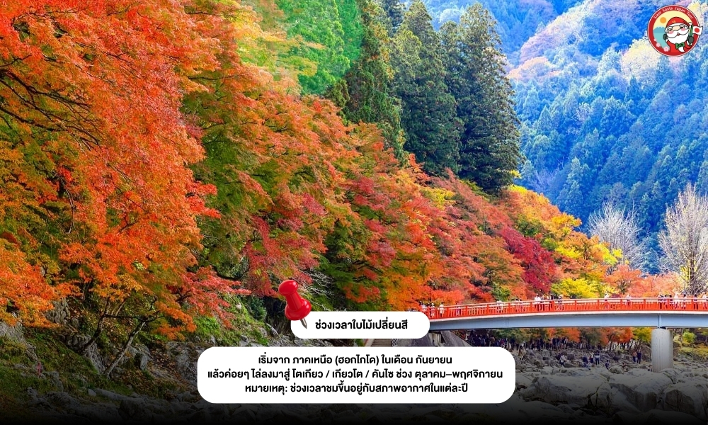 Sub Image 4