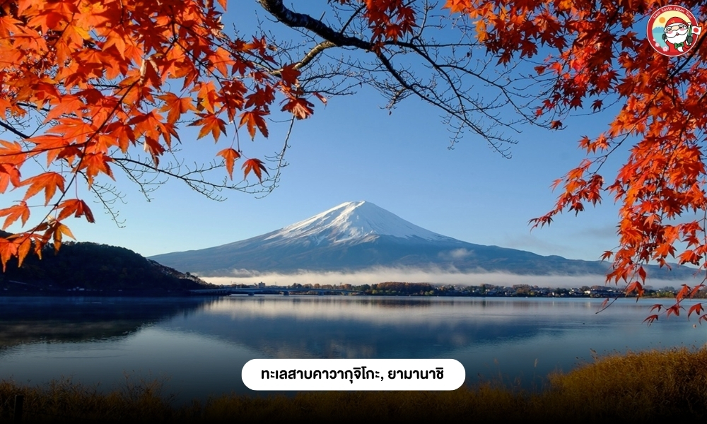 Sub Image 6