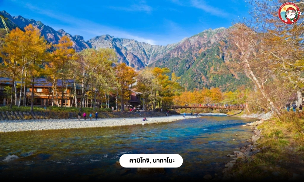 Sub Image 7