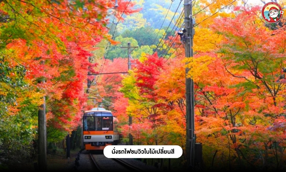 Sub Image 11
