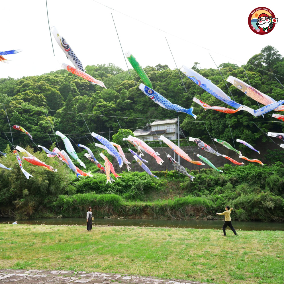 Sub Image 3