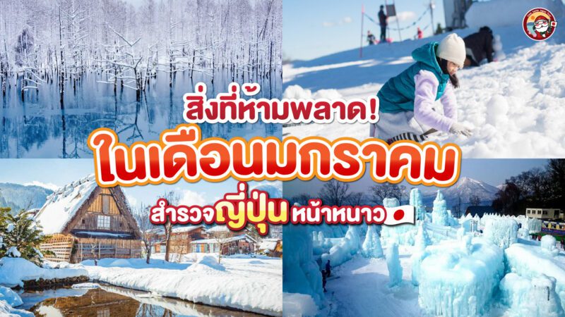 สำรวจญี่ปุ่นหน้าหนาว สิ่งที่ห้ามพลาดในเดือนมกราคม