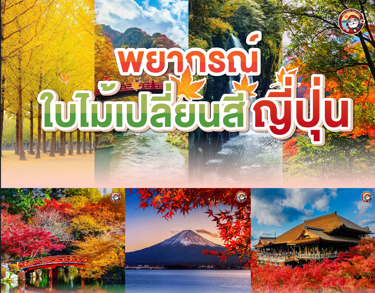 ซานต้าพยากรณ์ใบไม้เปลี่ยนญี่ปุ่น2024