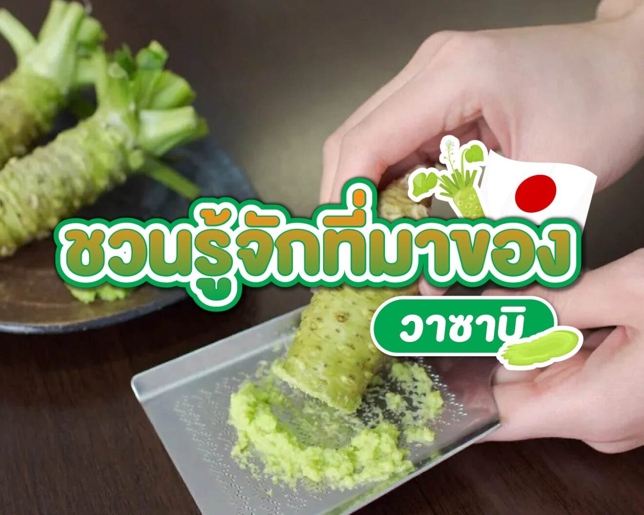 มาทำความรู้จักวาซาบิแท้ญี่ปุ่นกัน!!