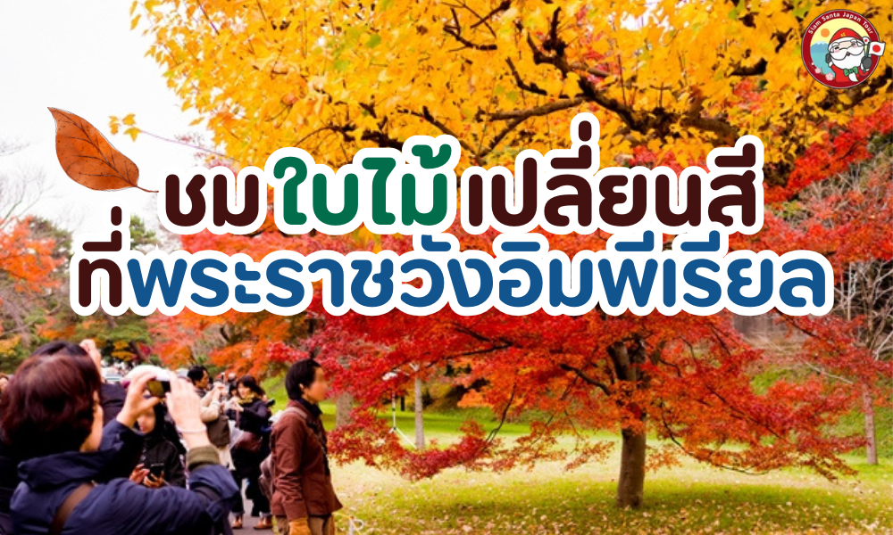 พระราชวังอิมพีเรียลเปิดพื้นที่บางส่วนเพื่อให้ประชาชนเข้าไปชมใบไม้เปลี่ยนสี