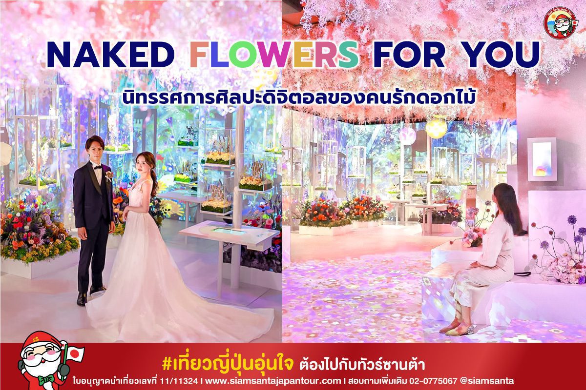 NAKED FLOWERS FOR YOU : นิทรรศการศิลปะดิจิตอลของคนรักดอกไม้ เริ่มจัดแสดงแบบถาวรที่ Yurakucho Marui โตเกียว