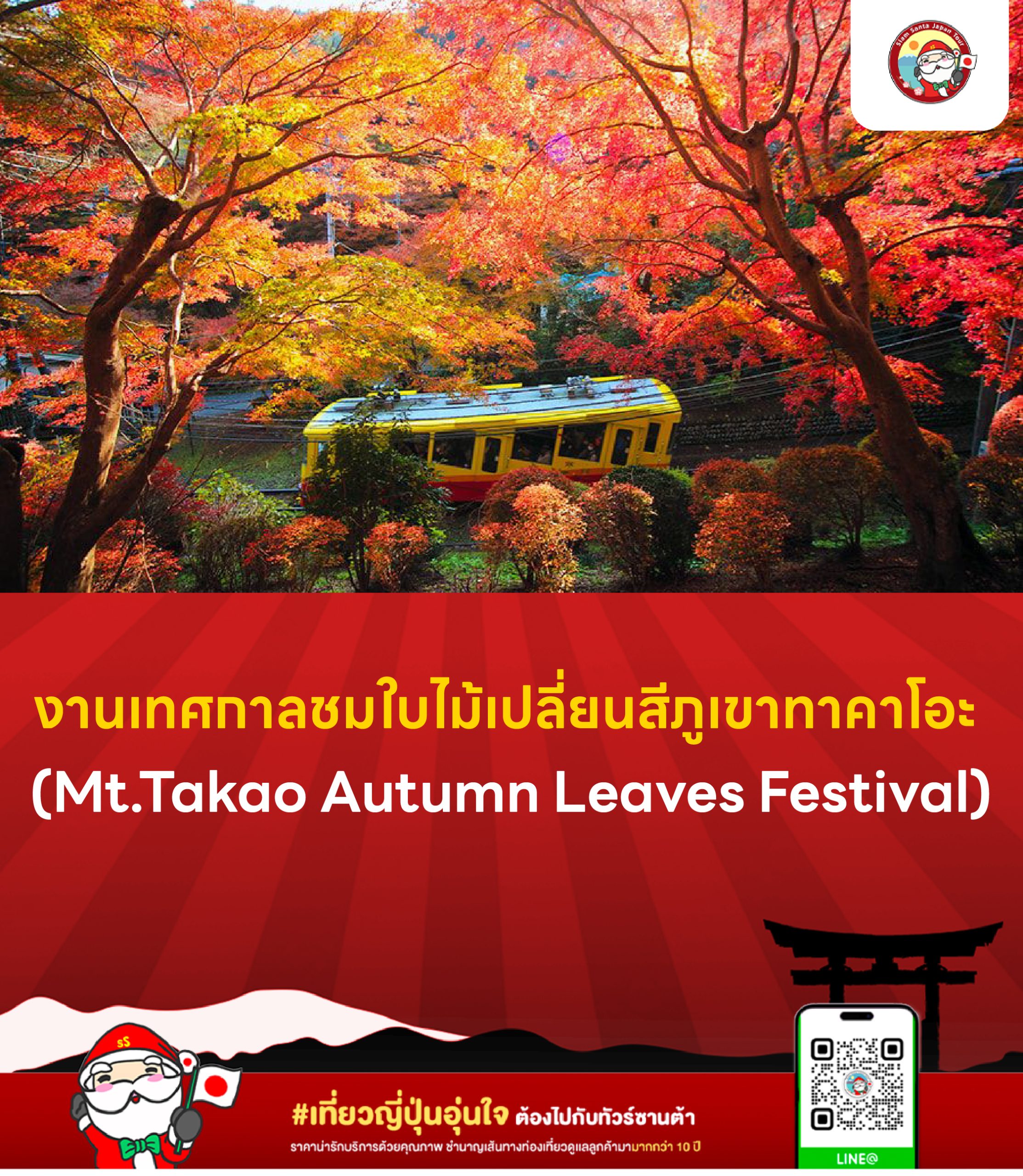 เทศกาลใบไม้เปลี่ยนสีโมมิจิมัตสึริ เขาทาคาโอะ