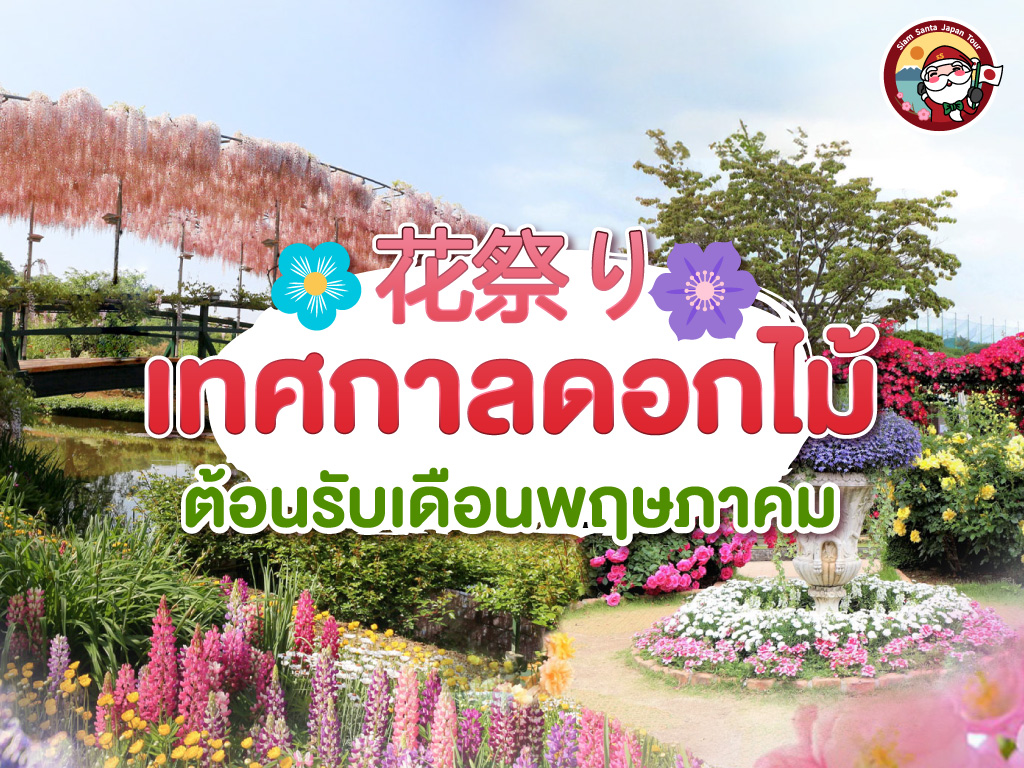 เที่ยวญี่ปุ่นเดือนพฤษภาคมต้อนรับเดือนแห่งดอกไม้ 
