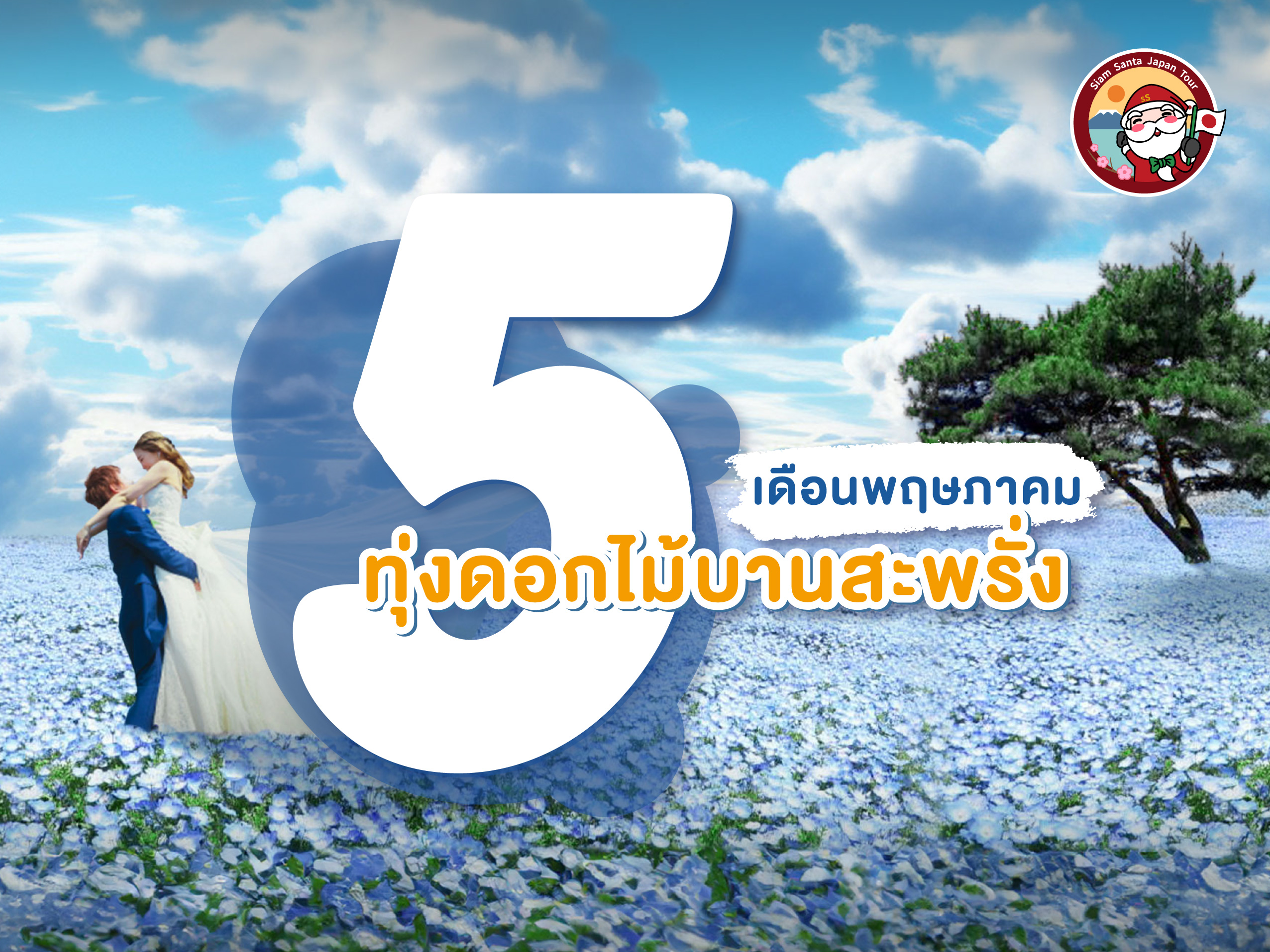 เที่ยวชมทุ่งดอกไม้ญี่ปุ่นเดือนพฤษภาคม