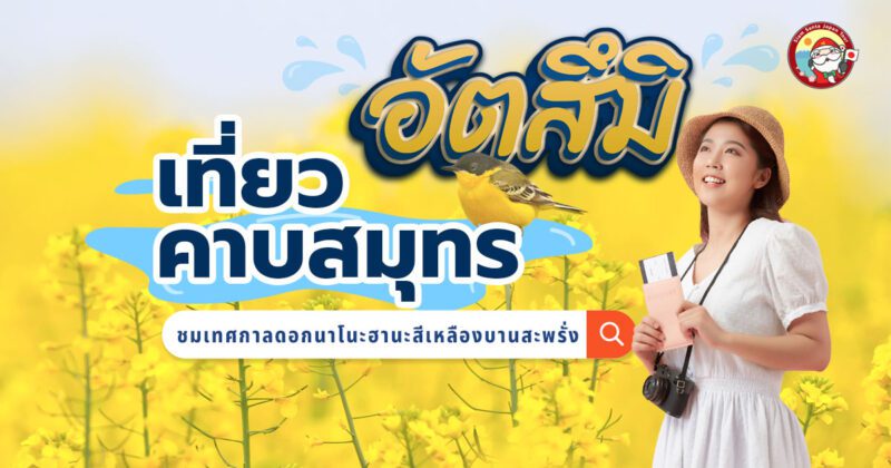 เทศกาลดอกนาโนะฮานะ