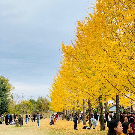 Manabi no Mori Park 