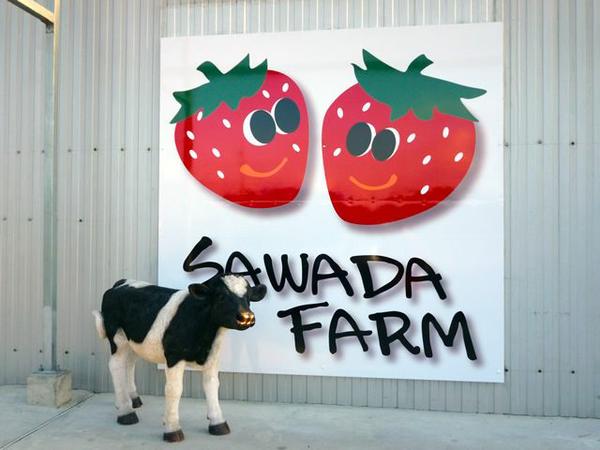  Sawada Farm 