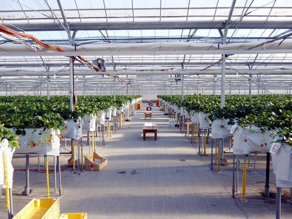  Sawada Farm
