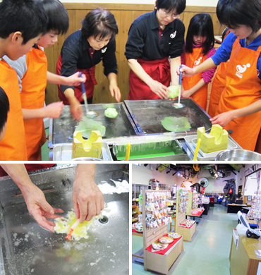 Sample Village Iwasaki