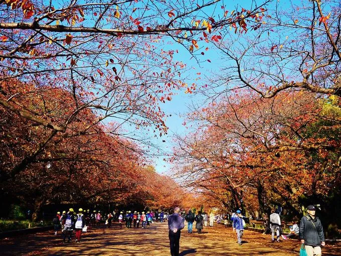 สวนสาธารณะอุเอโนะ