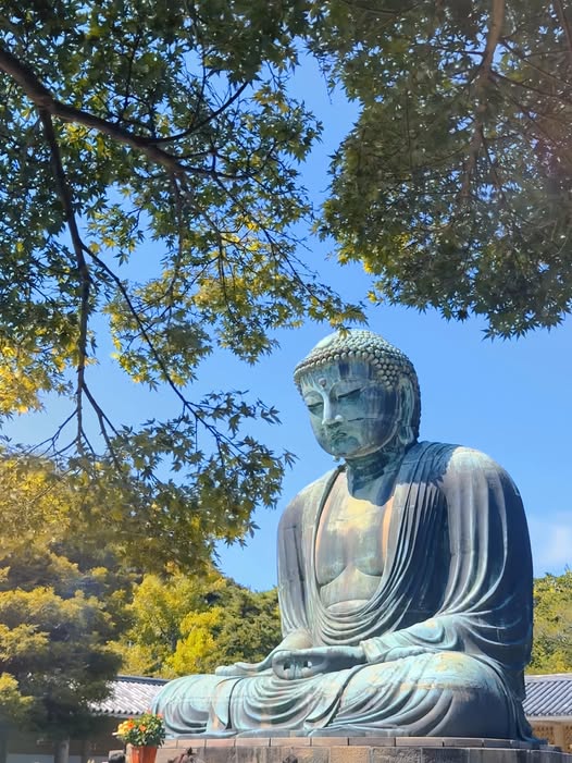 พระใหญ่แห่งคามาคุระ(วัดโคโตคุอิน)(รวมค่าเข้าชม)