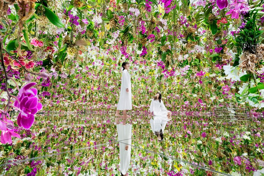 teamLab Planets โตเกียว