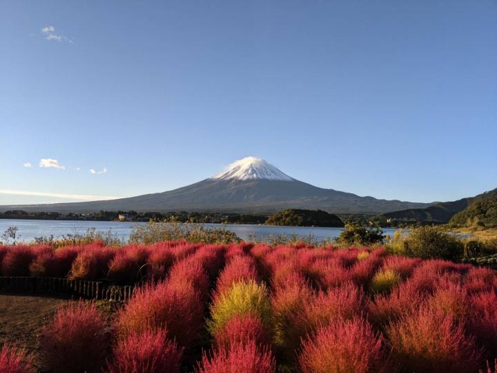 สวนโออิชิปาร์ค