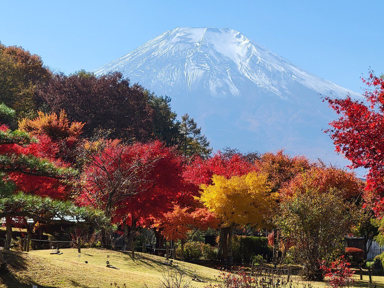 สวนฮานะโนะมิยาโกะ 