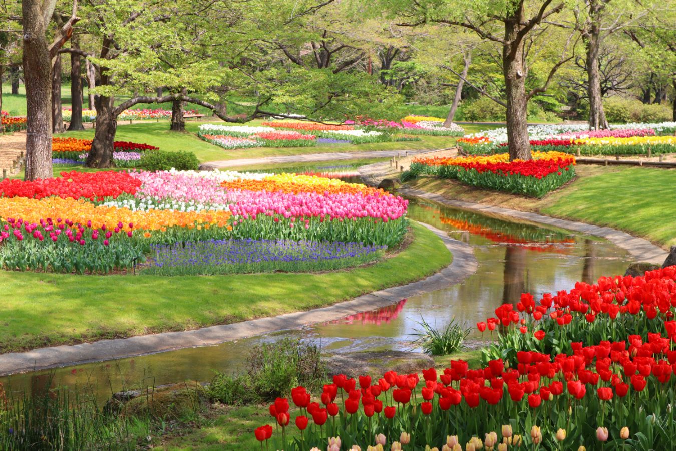  สวนโชวะ คิเนน