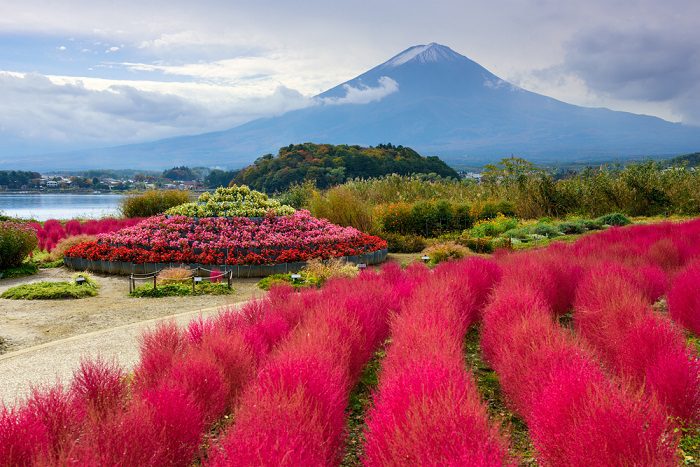 สวนโออิชิปาร์ค