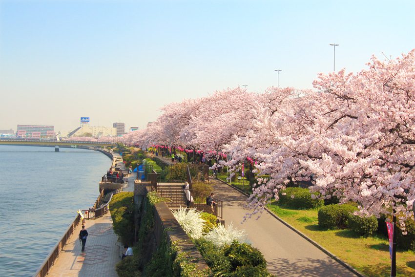 สวนสาธารณะสุมิดะ 