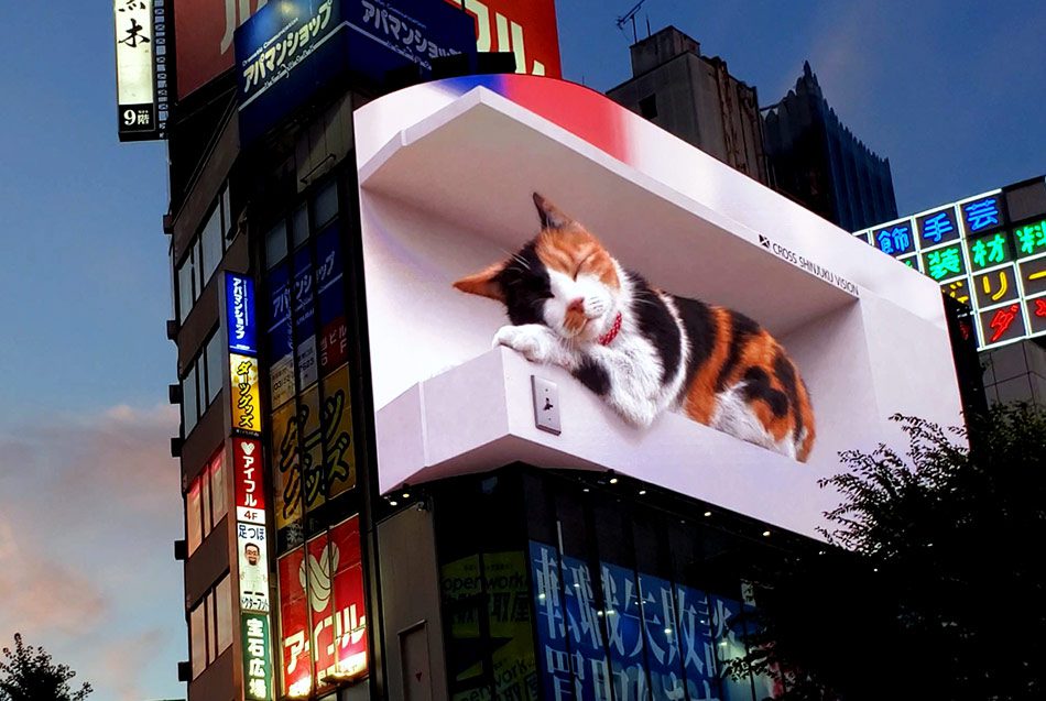 cat 3D