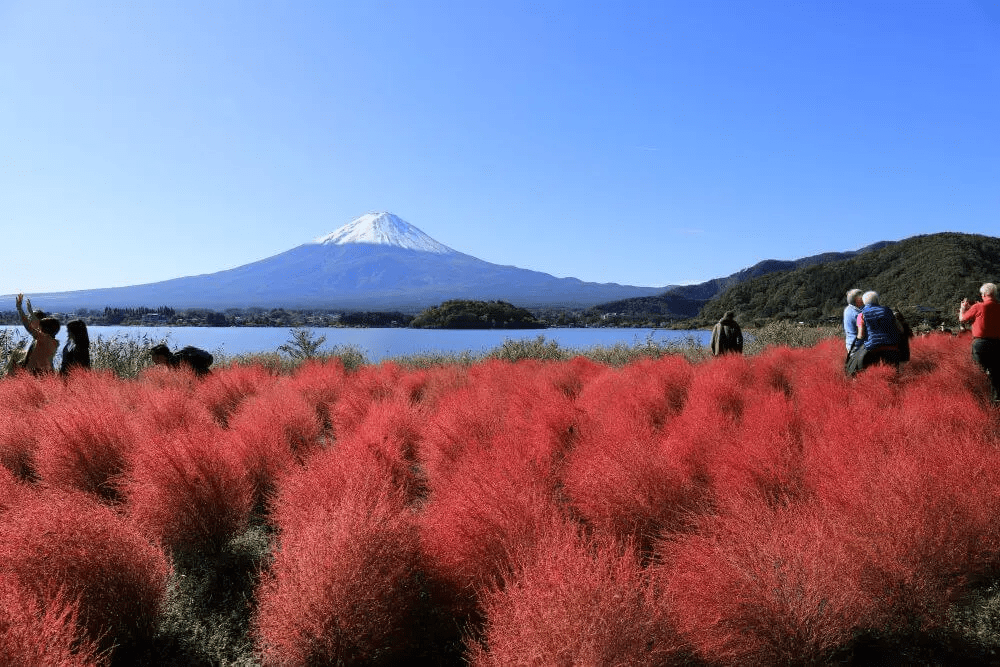 สวนโออิชิ
