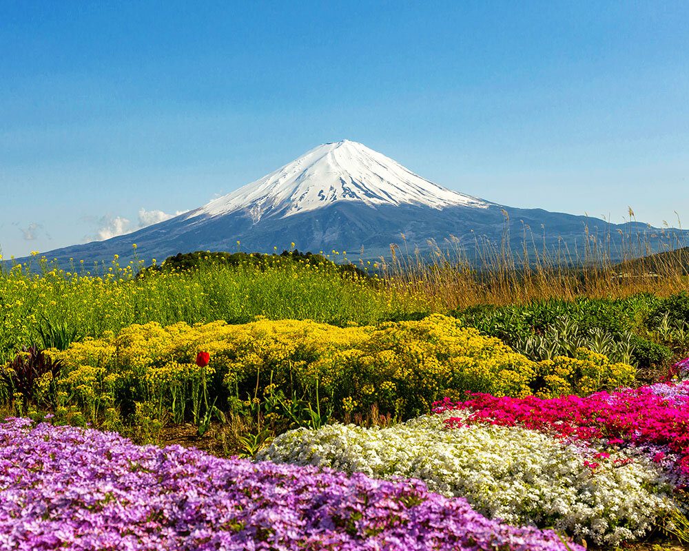  สวนโออิชิปาร์ค 
