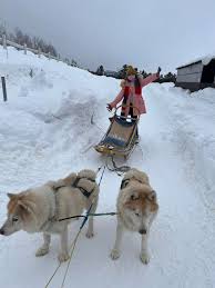กิจกรรสุนัขลากเลื่อน ณ Furano Trekking Support YUMA