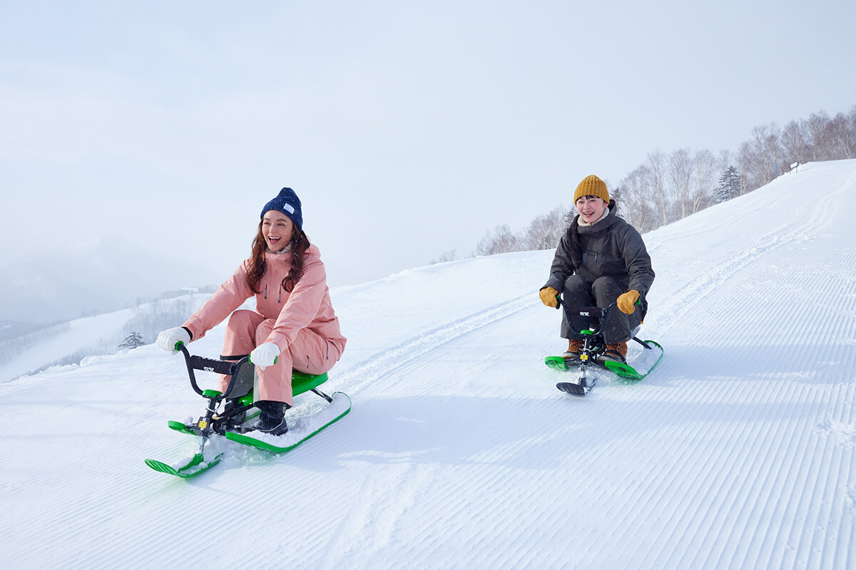 Snow Cart 